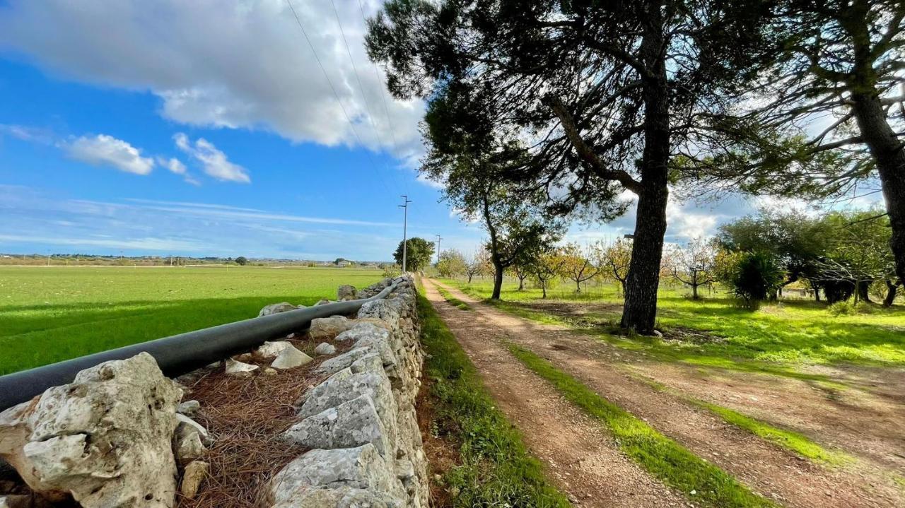 Masseria Elefante Turi Eksteriør bilde