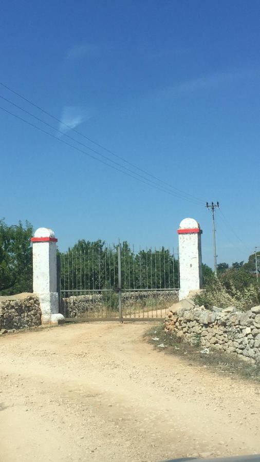 Masseria Elefante Turi Eksteriør bilde
